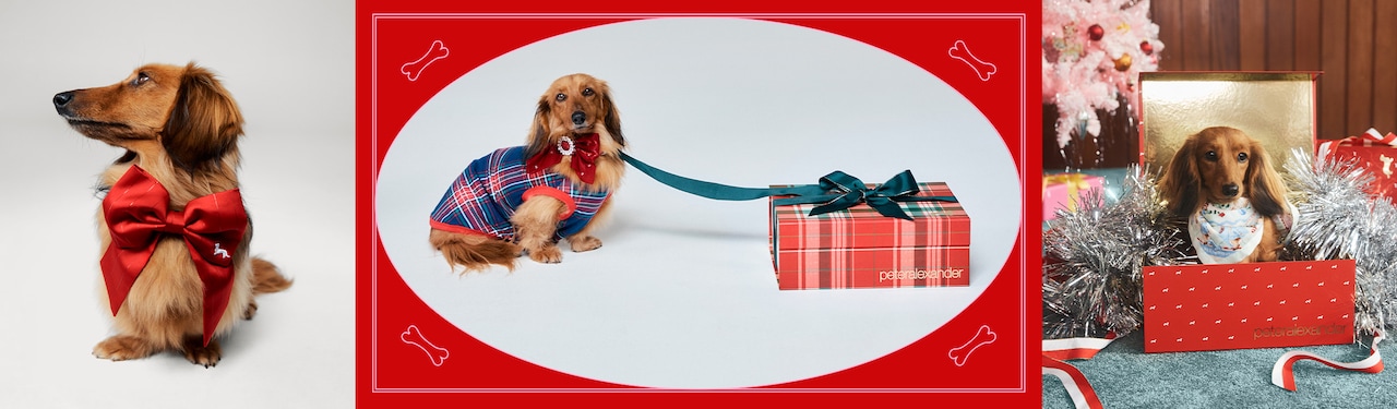 Gifts Pups