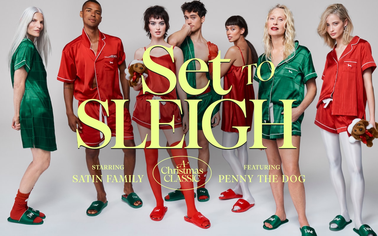 Set to Sleigh - A Christmas Classic Starring Satin Family & Featuring Penny the Dog