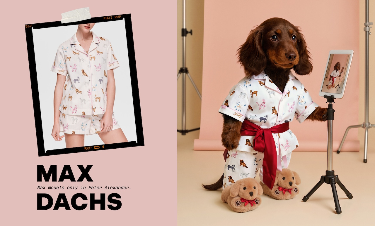 Max Dachs: Max models only in Peter Alexander