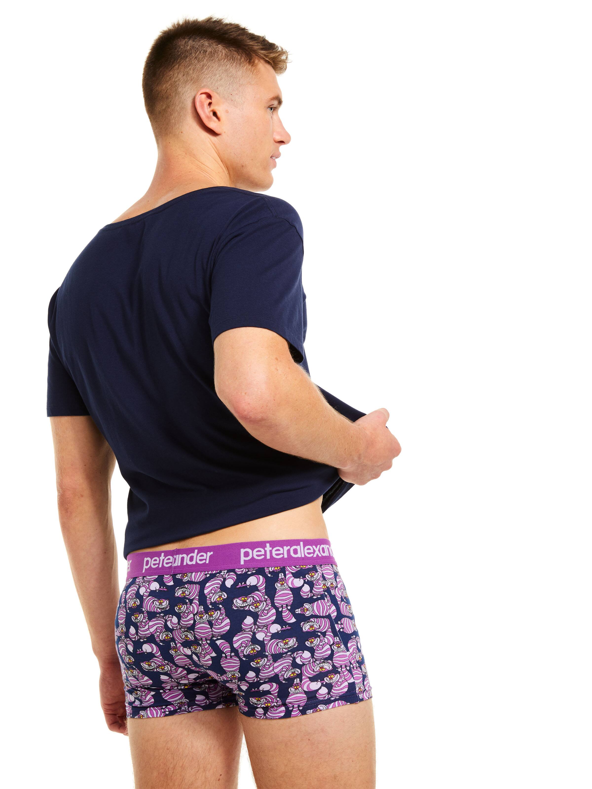 Disney Cheshire Cat Trunk