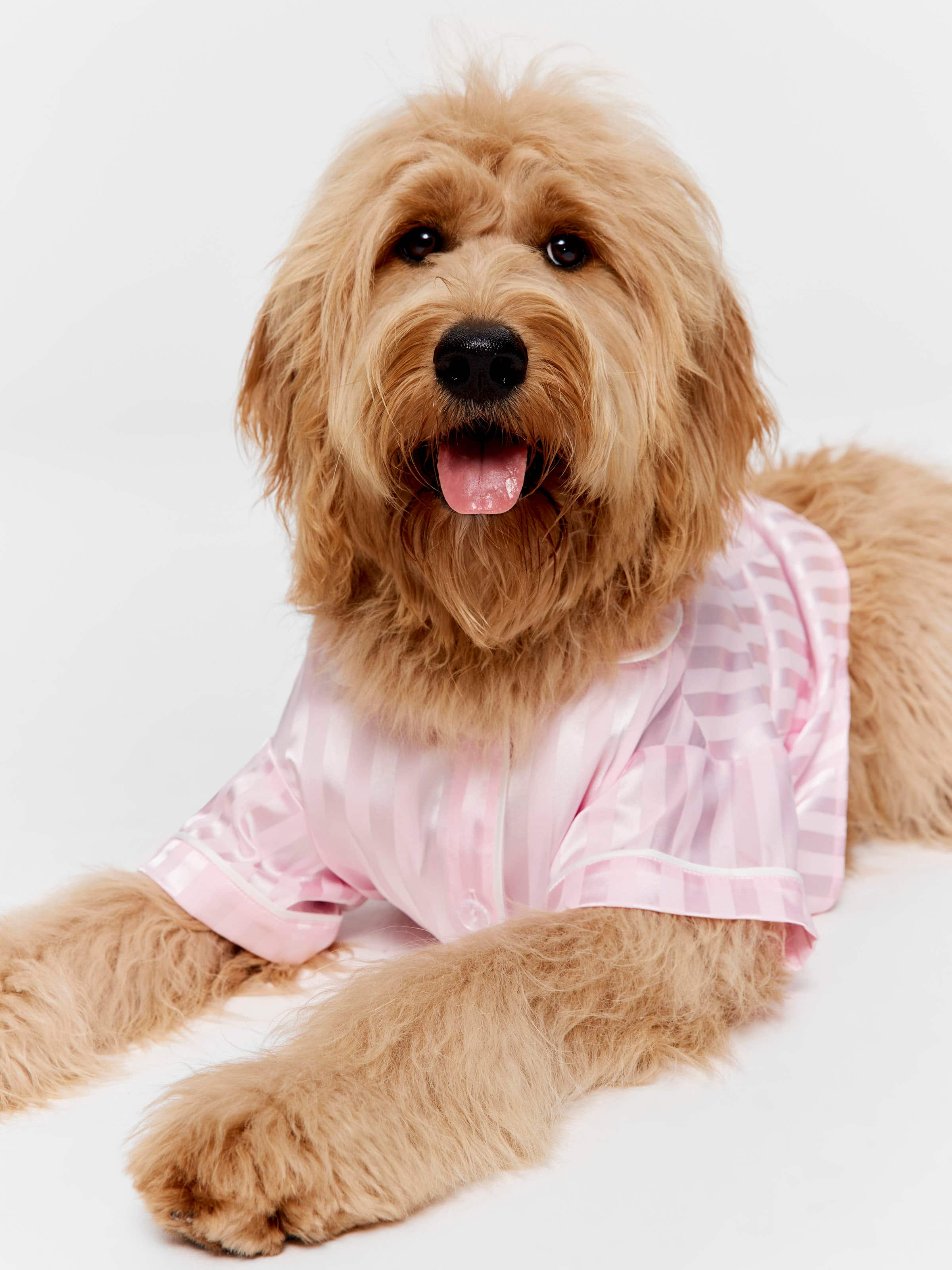 Image for Pink Stripe Satin Doggy Shirt from Peter Alexander