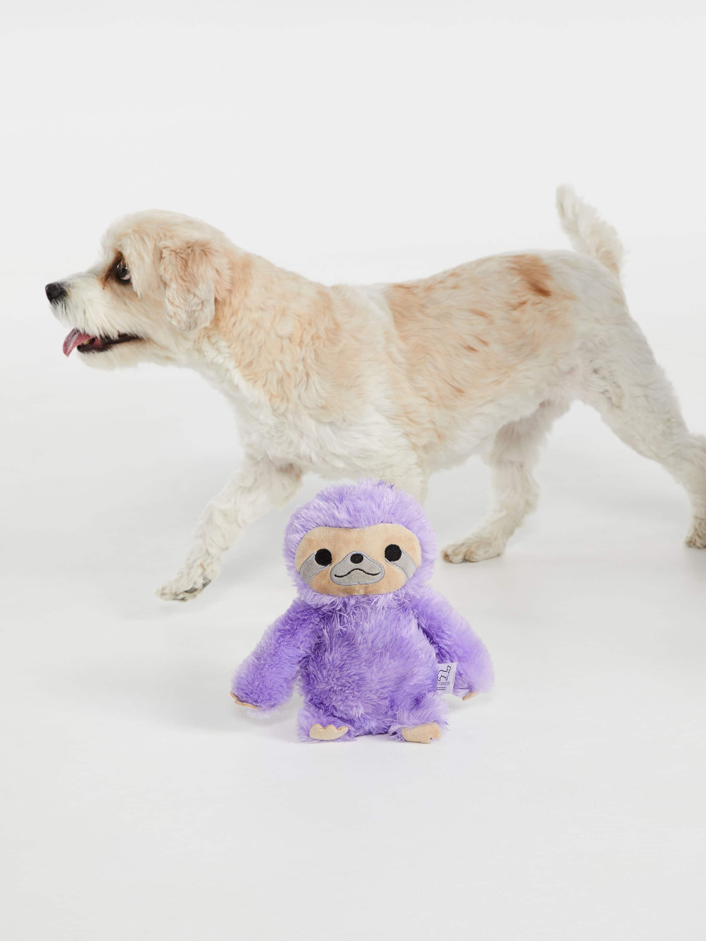 sloth dog toy