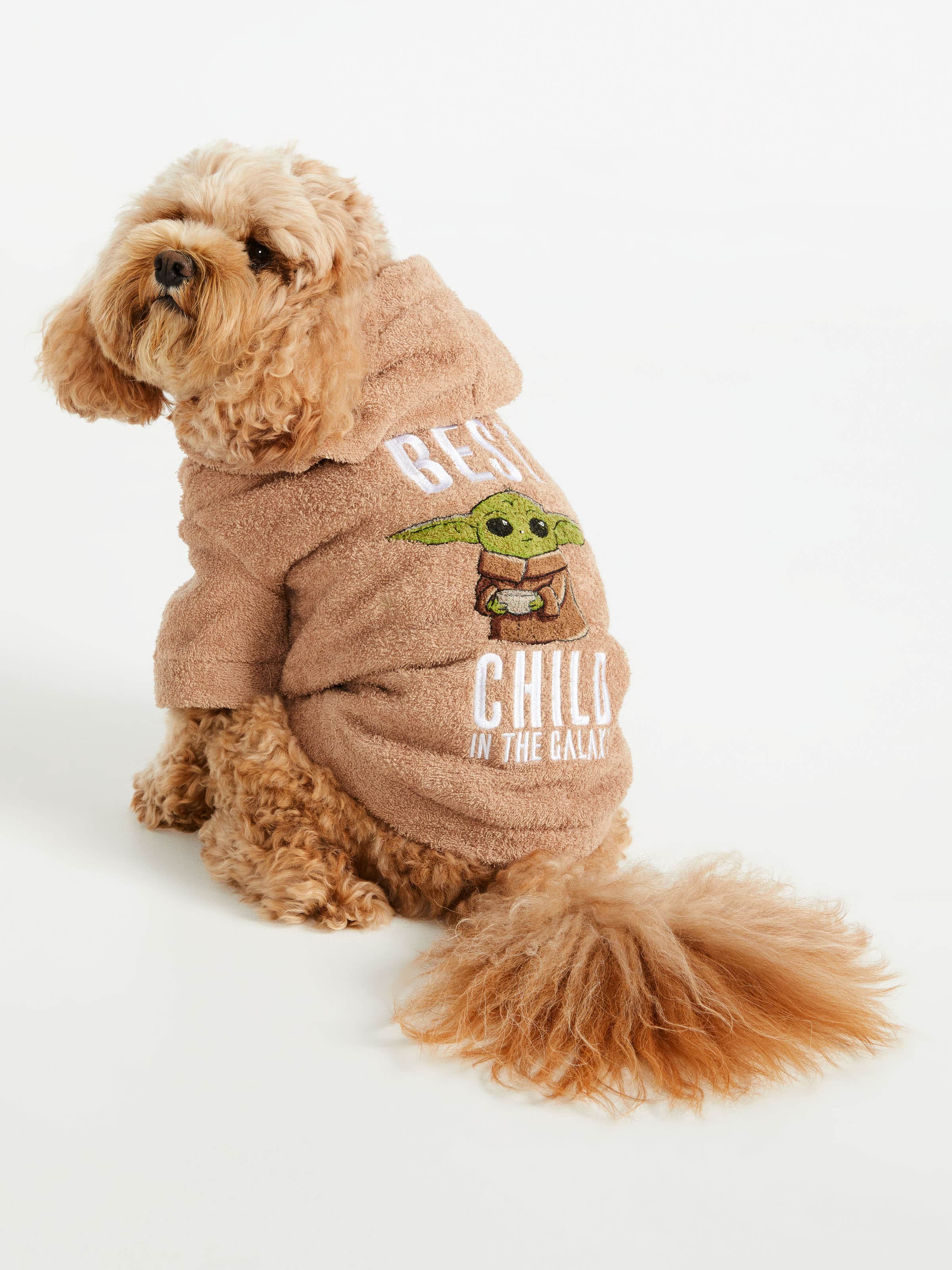 advantage flea control for dogs