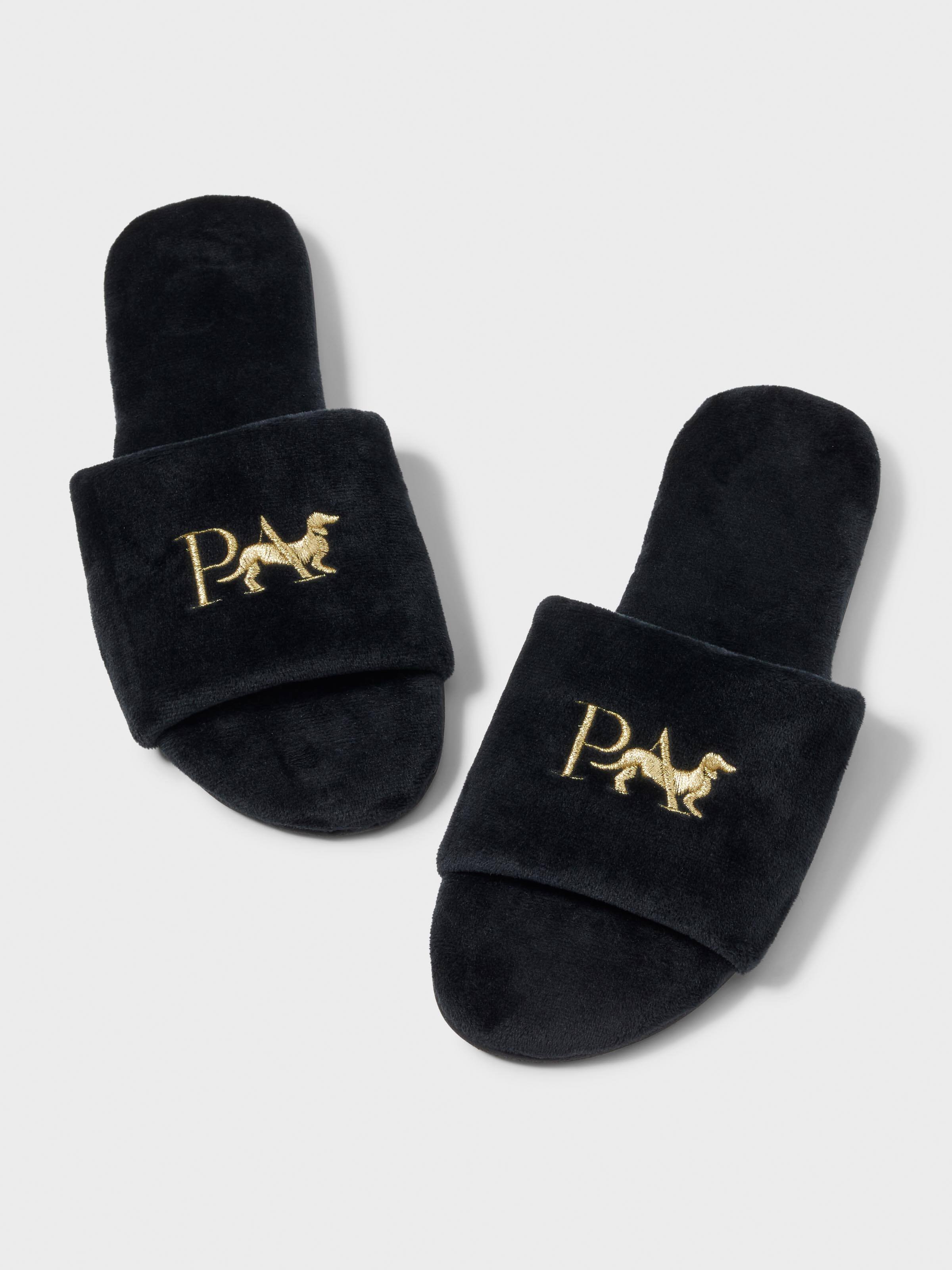 Penny Logo Slide