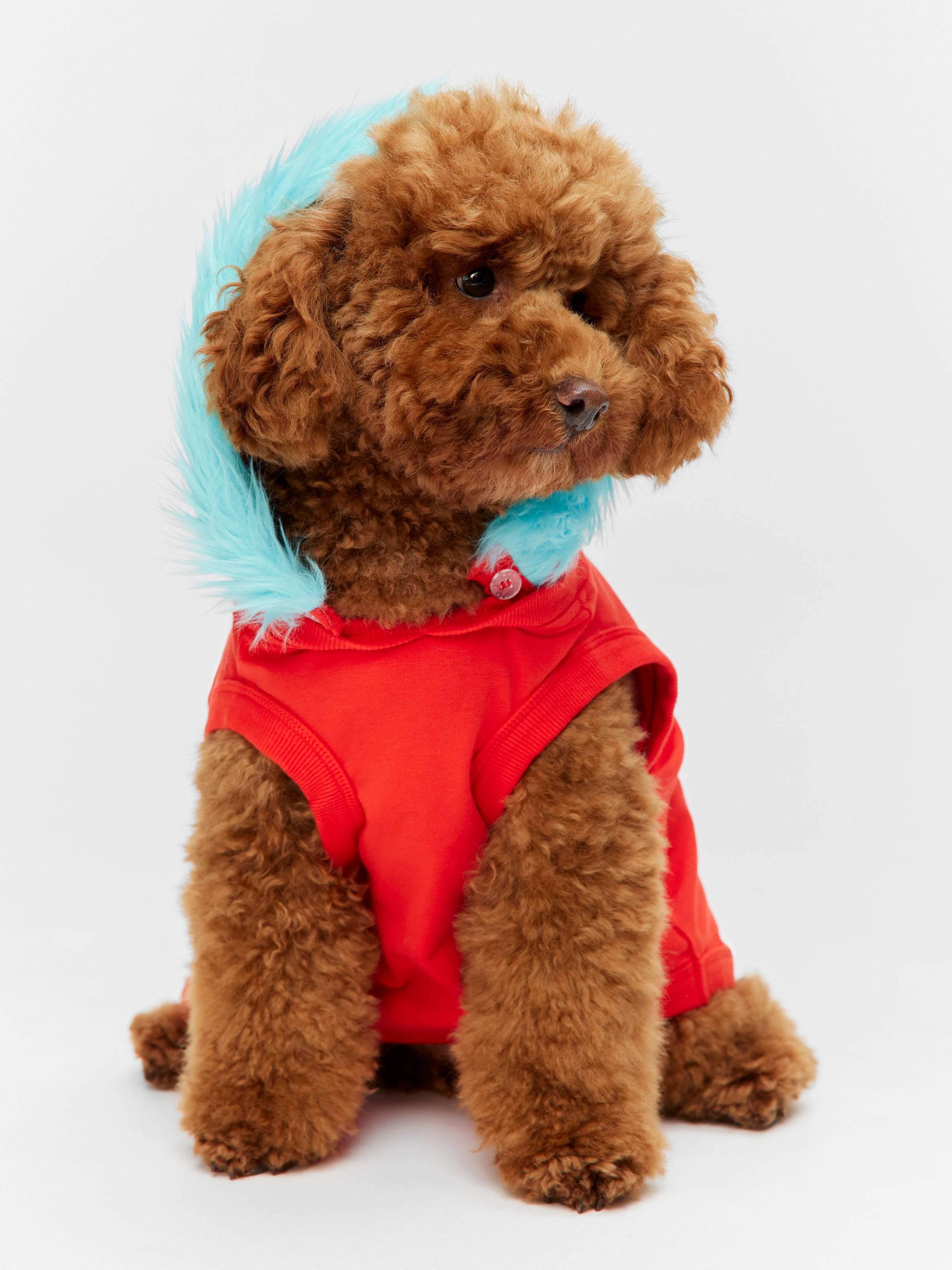 Dr Seuss Thing 2 Dog Tee