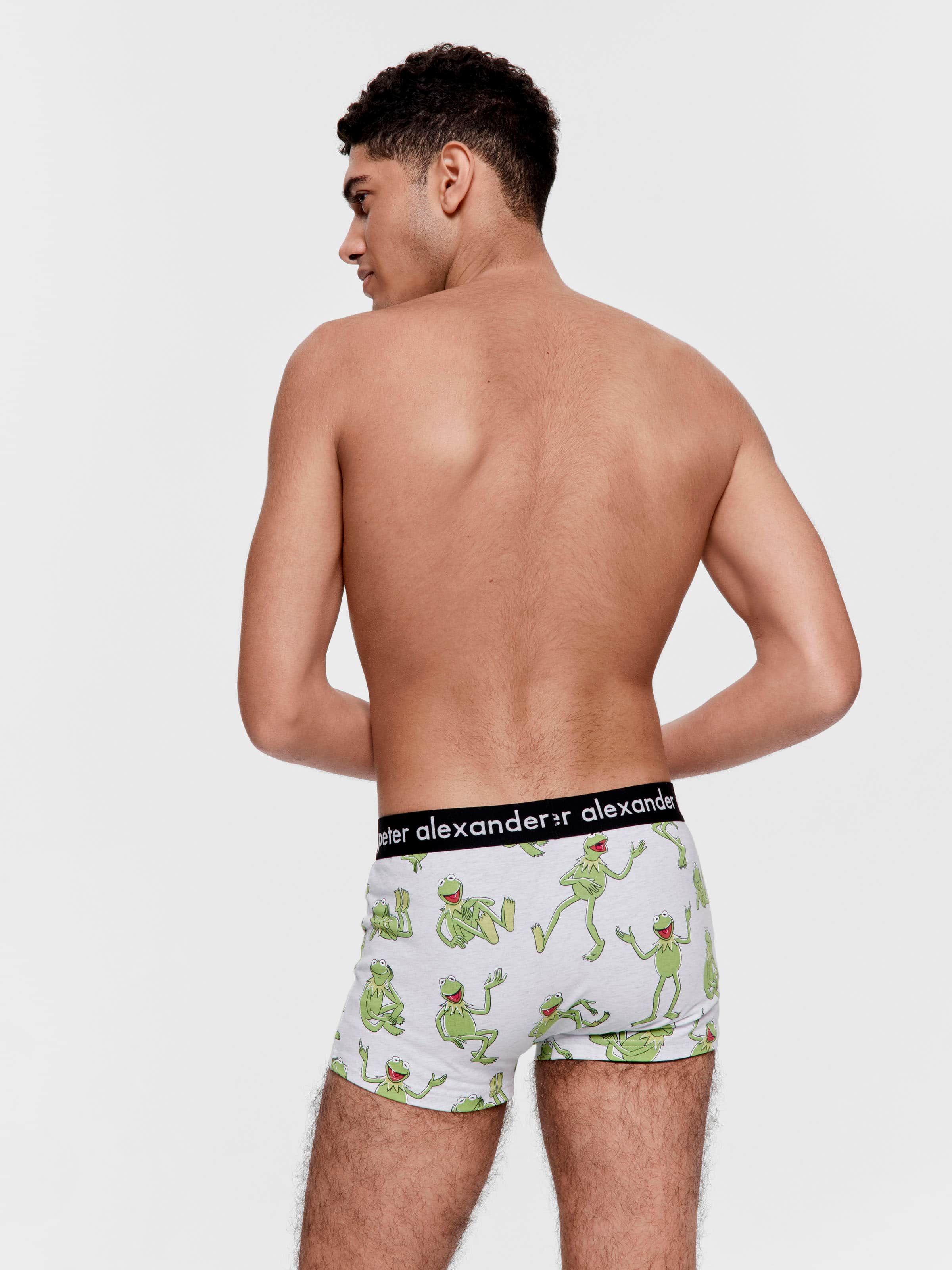 Image for Kermit Trunk from Peter Alexander