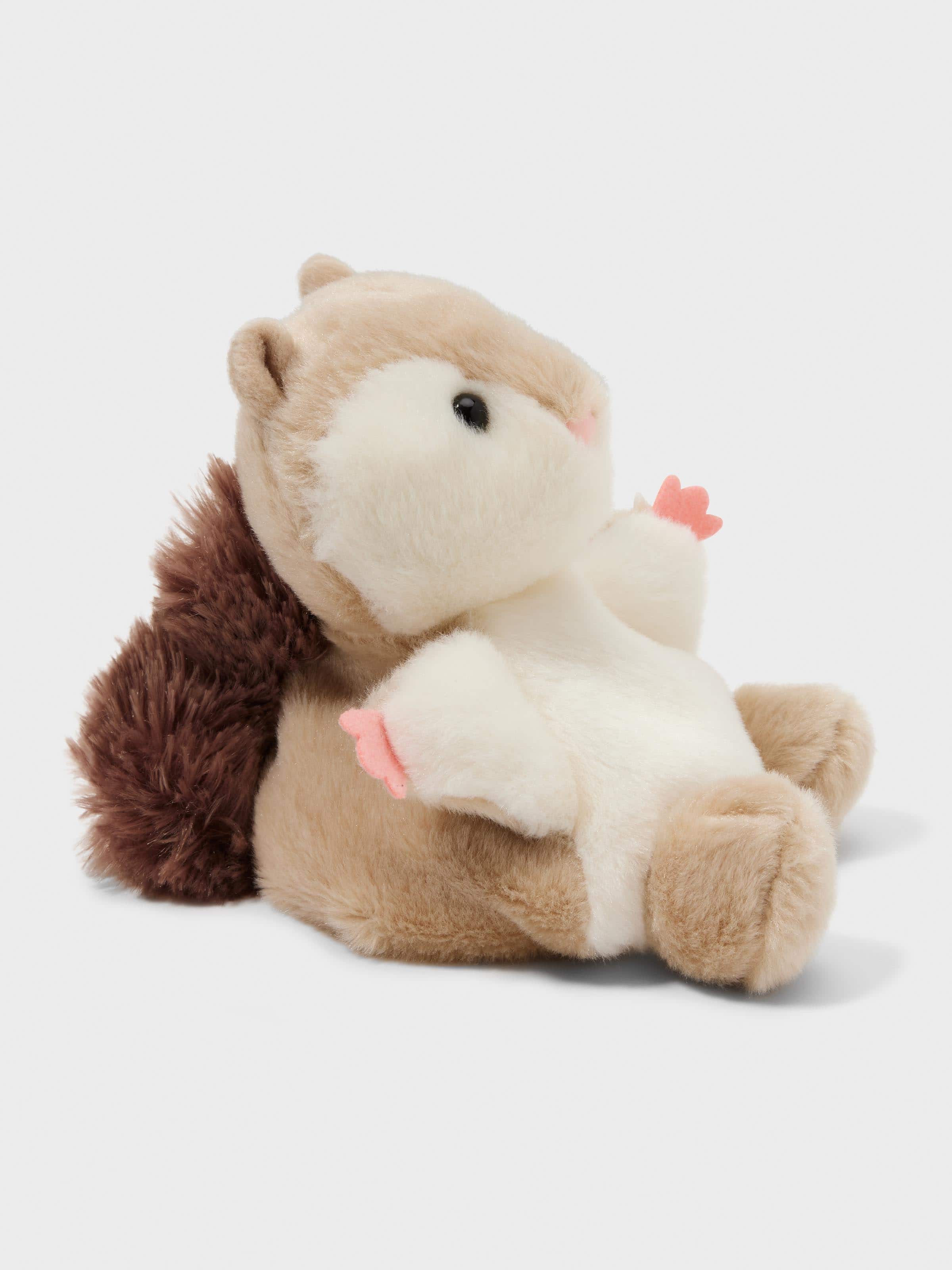 Palm Pal Flying Squirrel