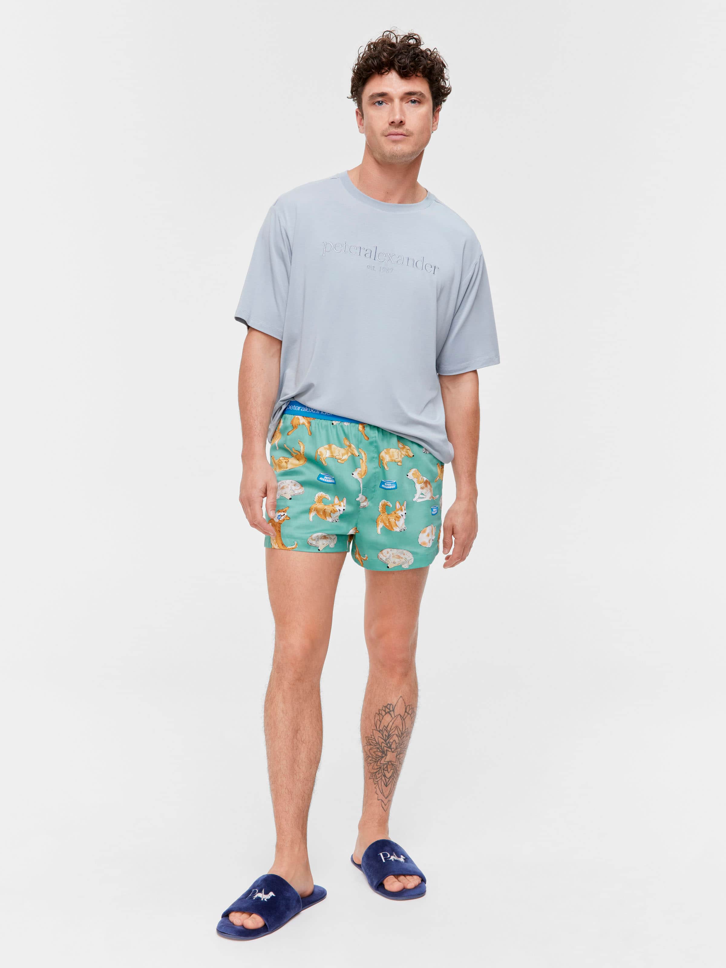 Multi Dog 100% Cotton Boxer Short