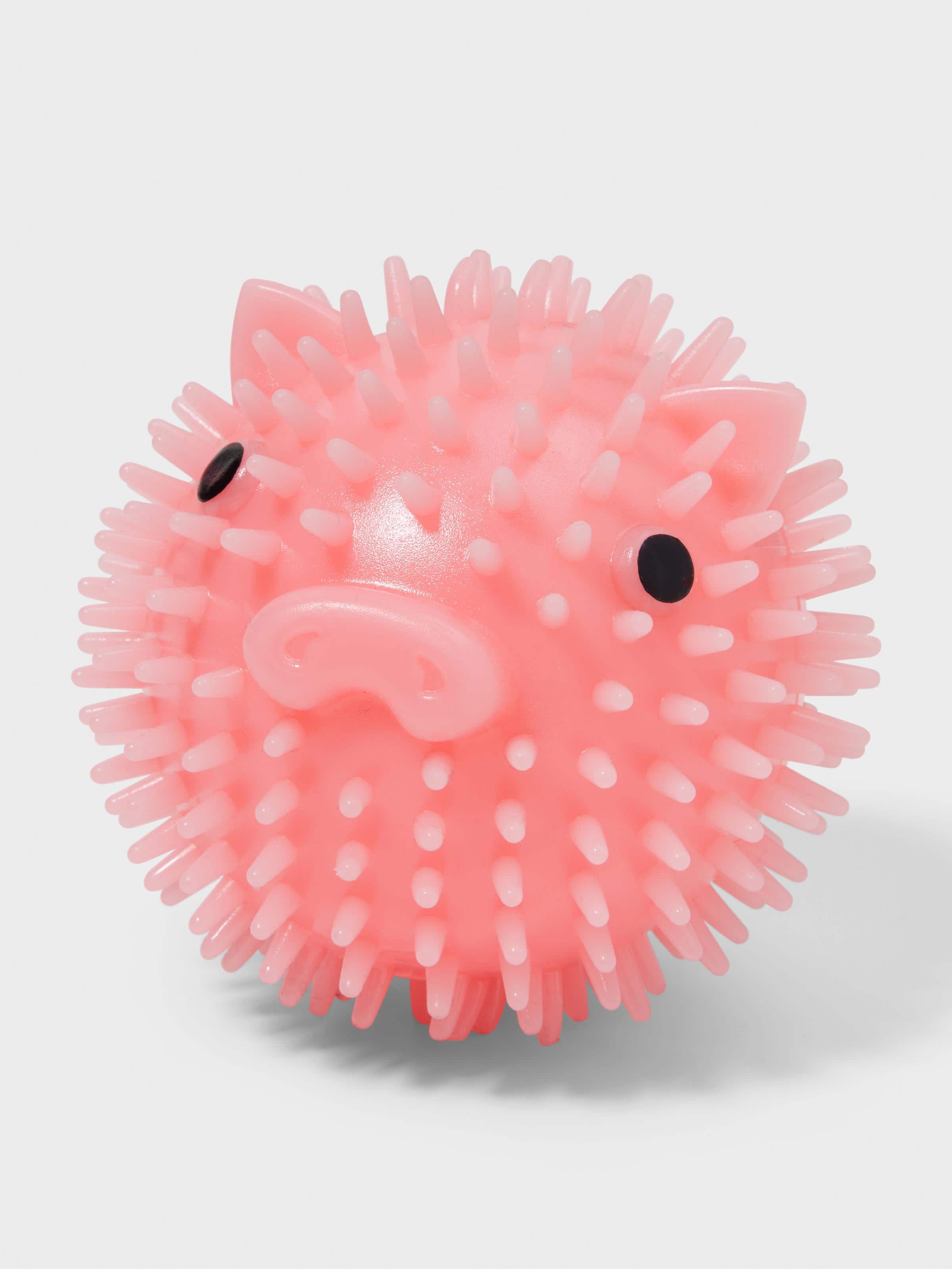 Piggy Dog Ball