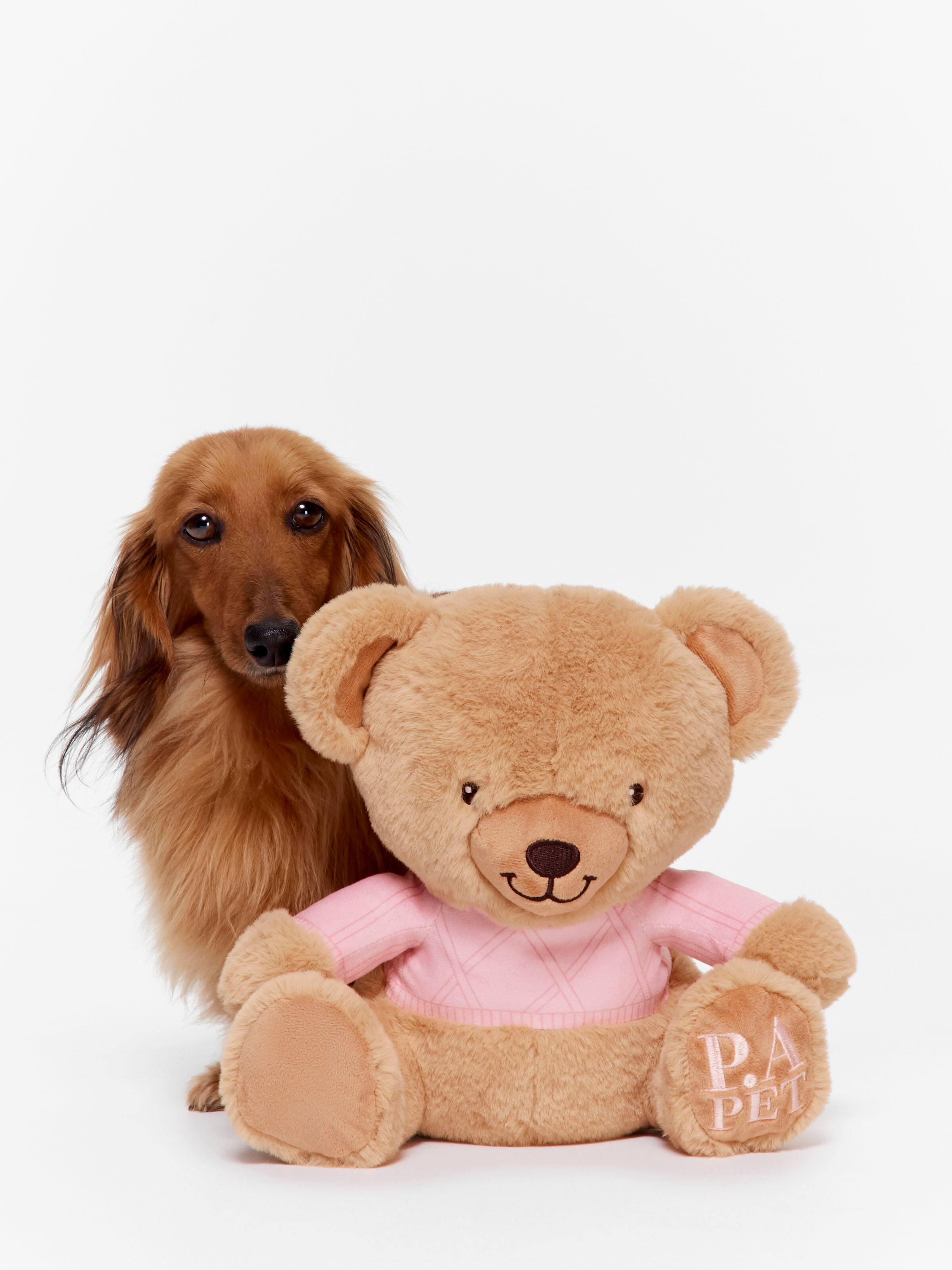 Dog Teddy Toy