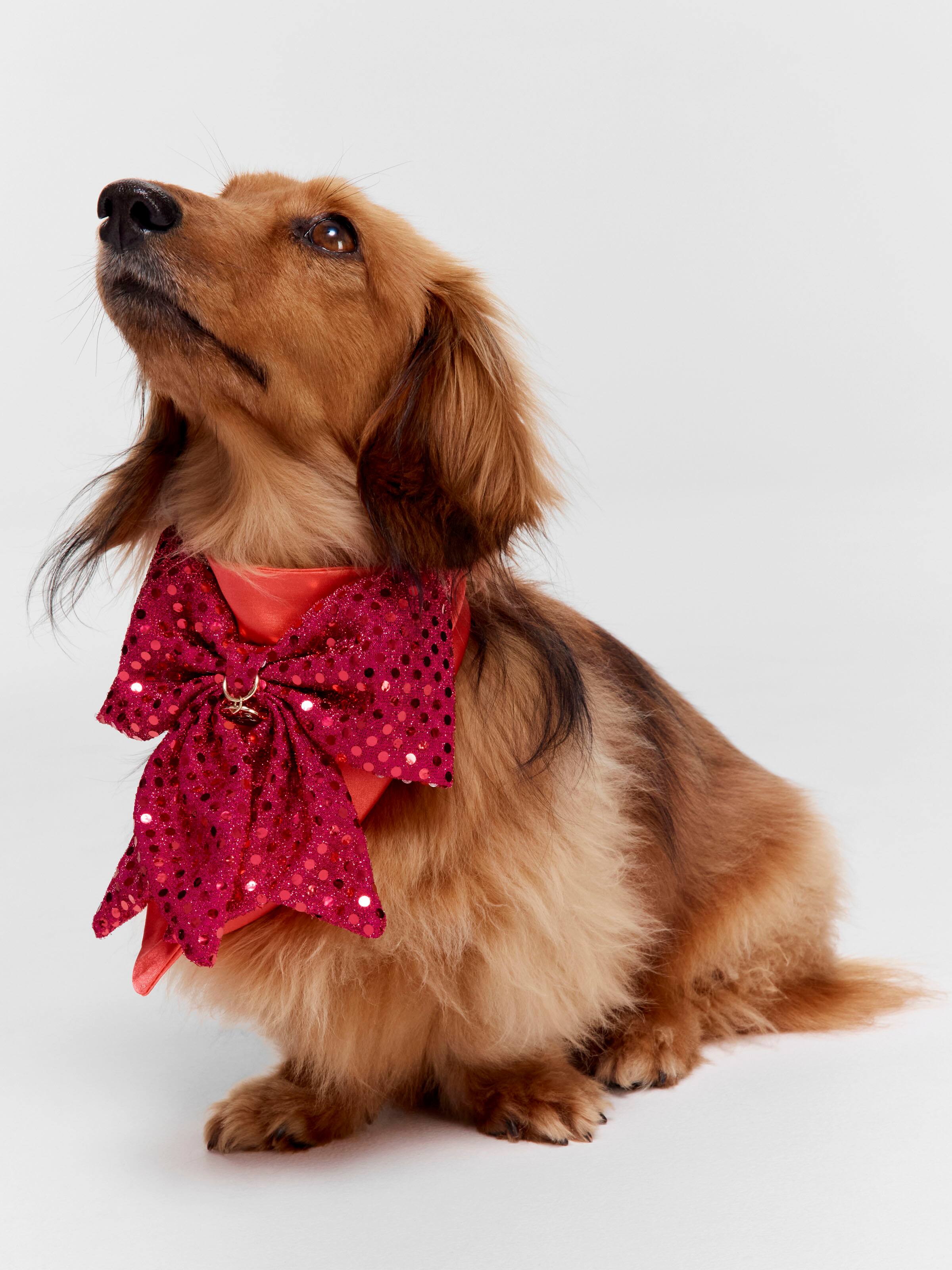 Sequin Bow Dog Bandana