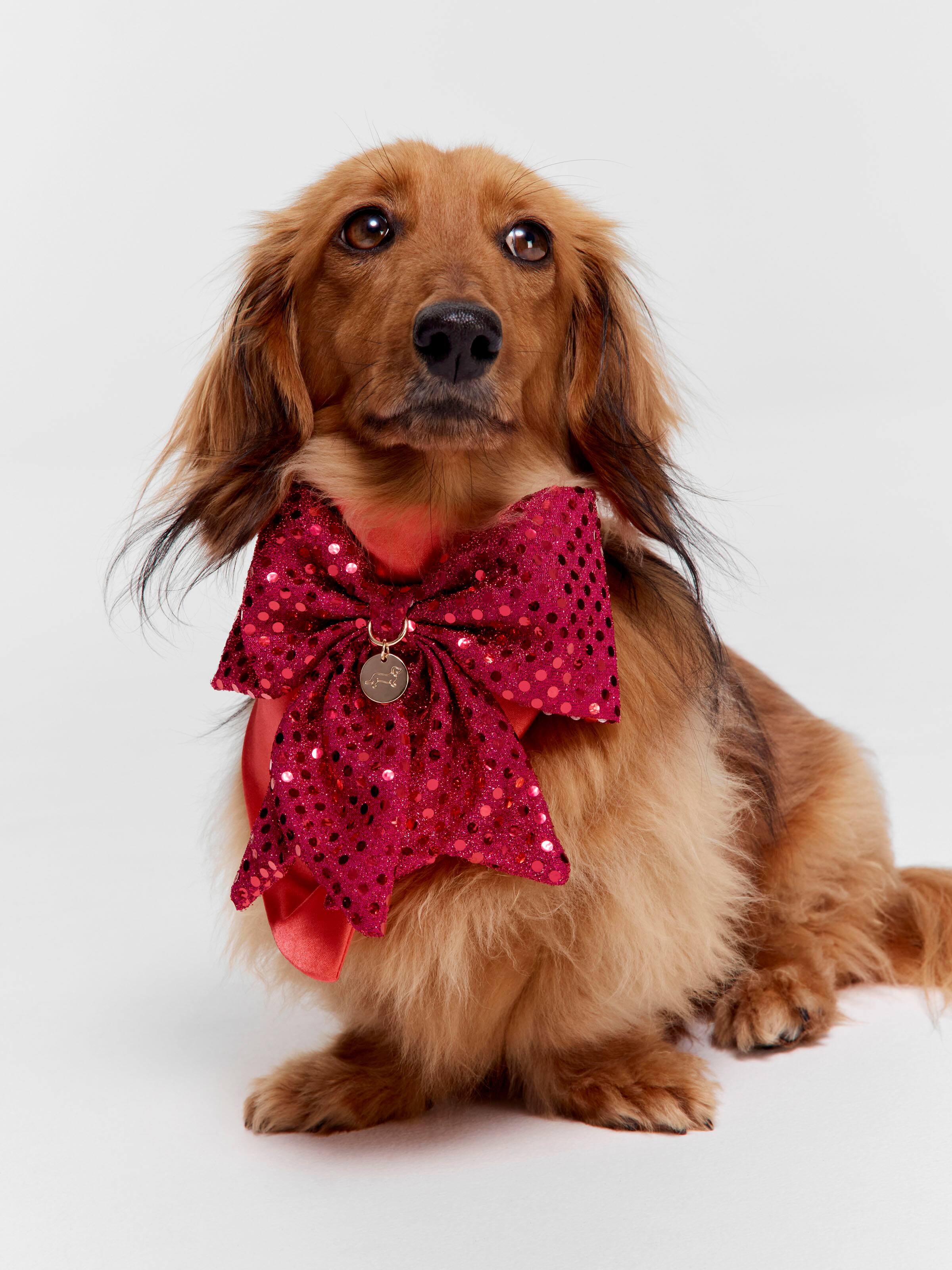 Sequin Bow Dog Bandana
