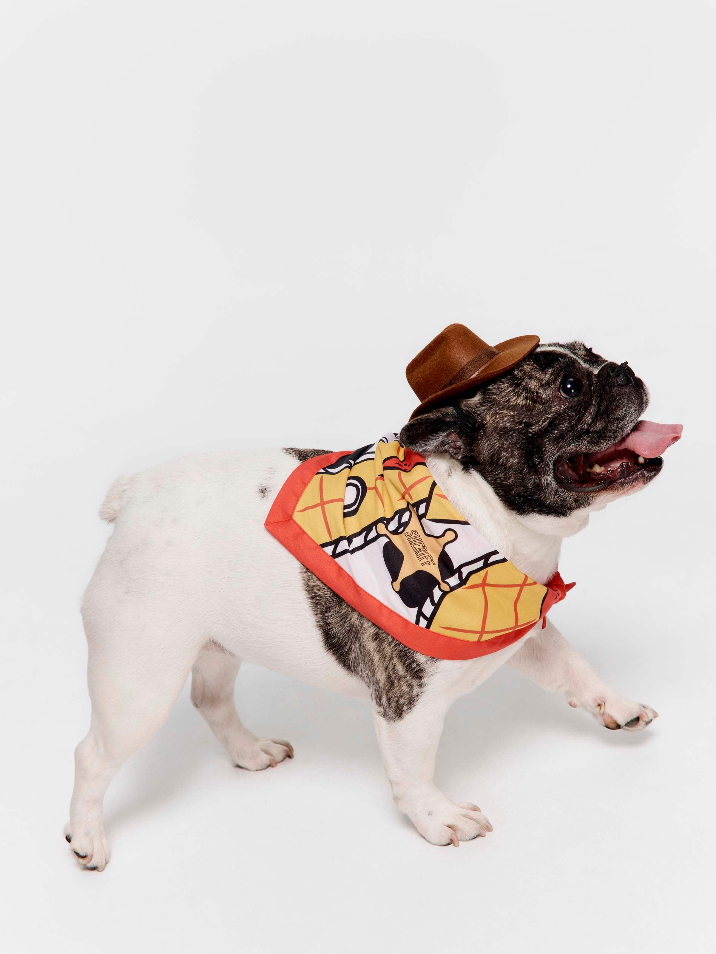 Toy Story Woody Pet Outfit.