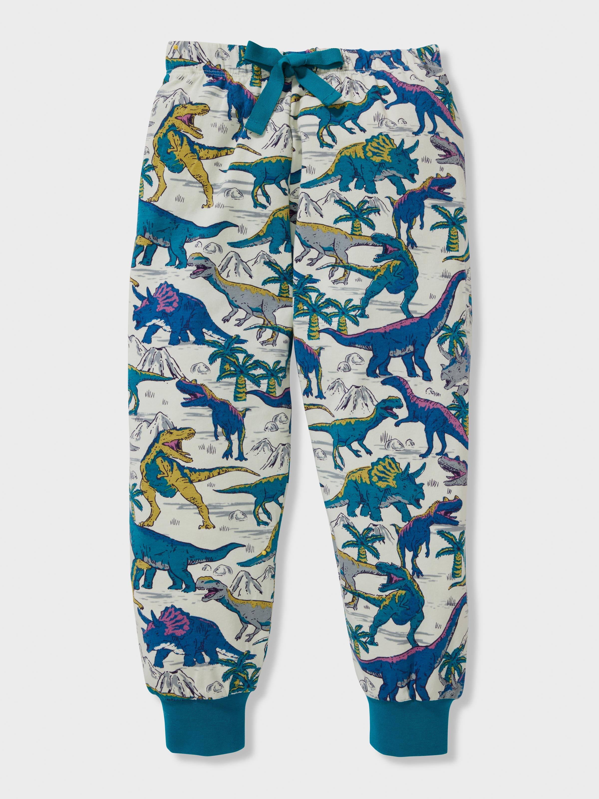 Jnr Boys Dinosaur Long Print Pj Set