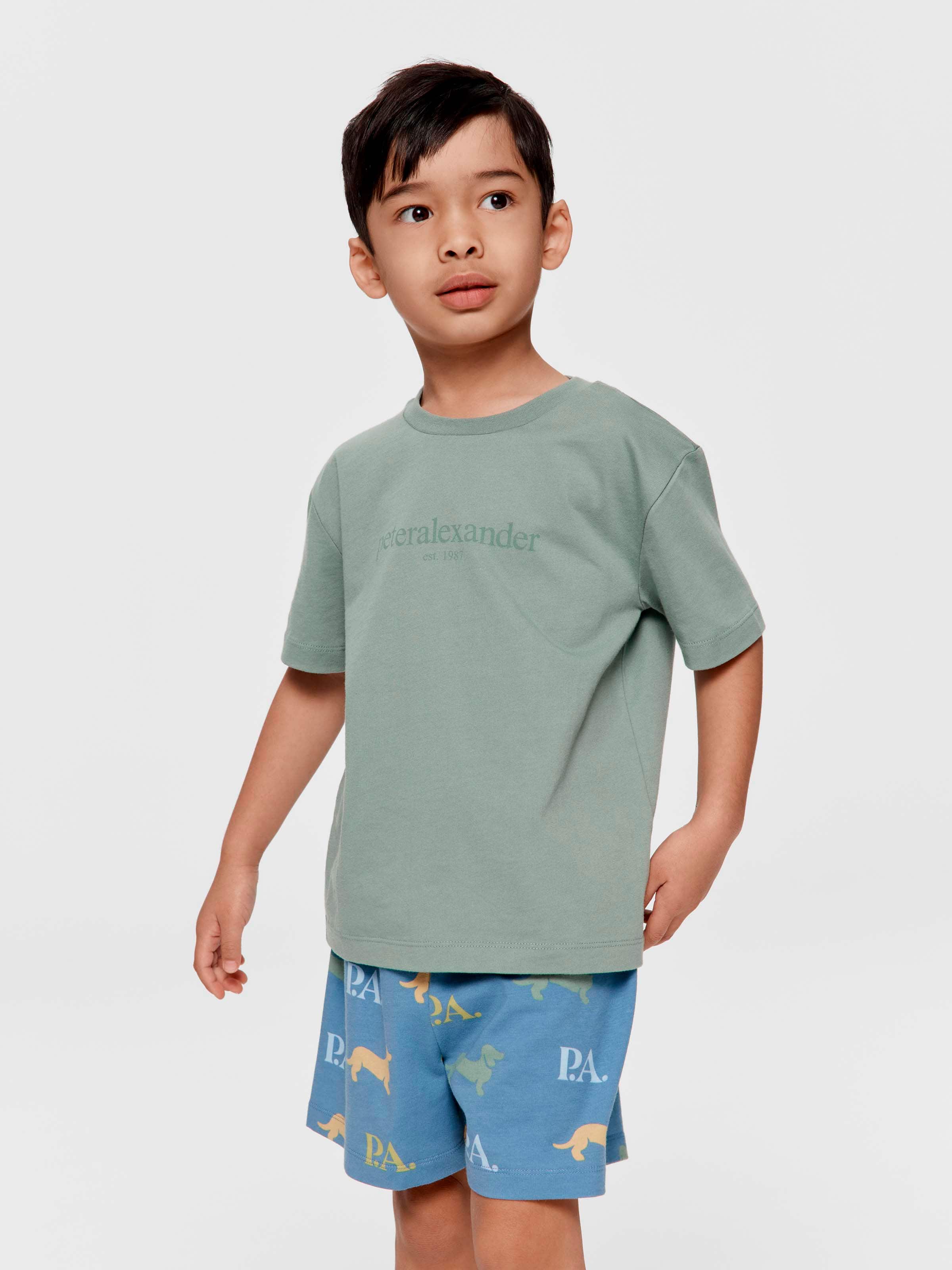 Jnr Boys P.A. Heritage Short Pj Set