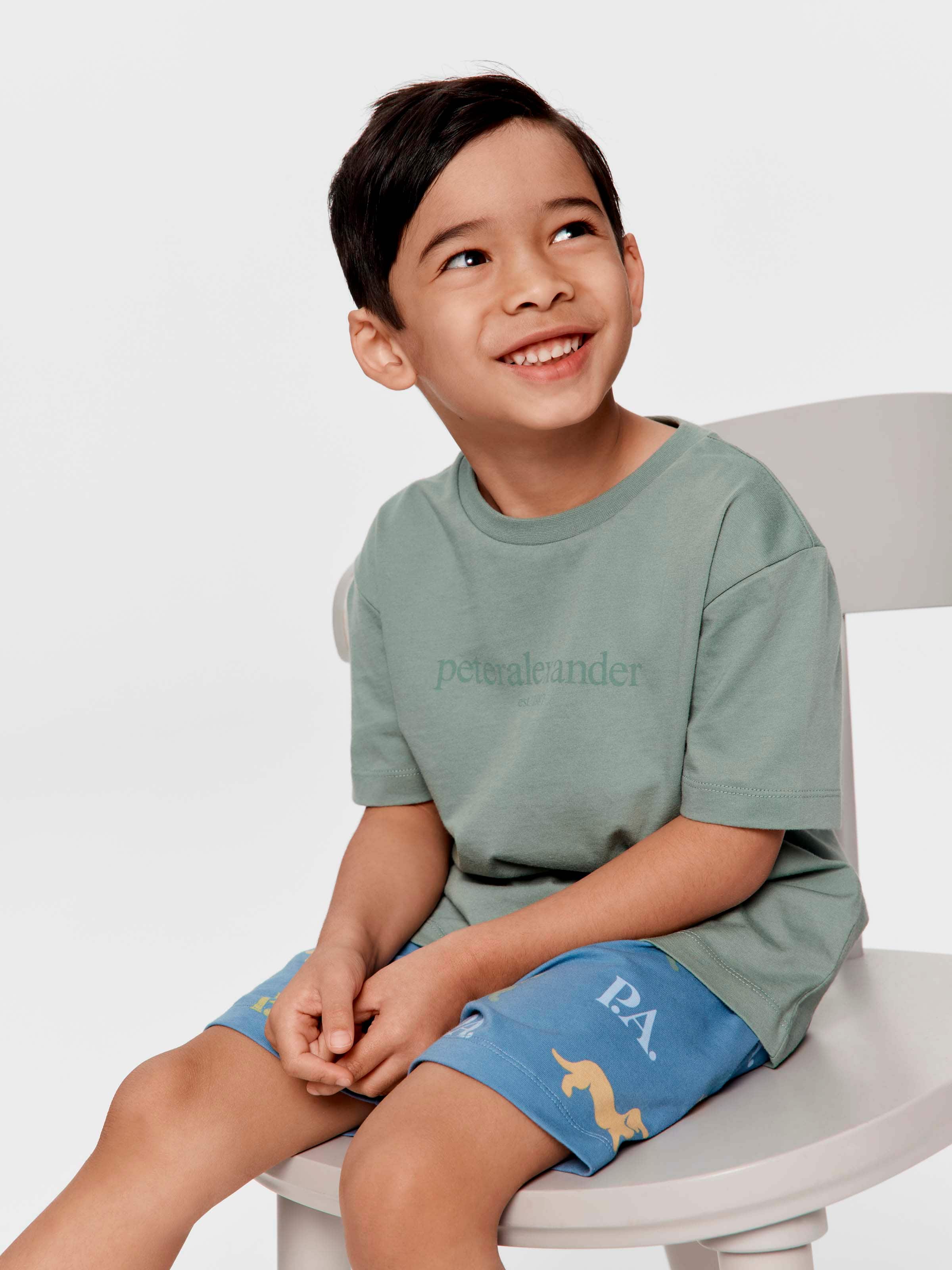 Jnr Boys P.A. Heritage Short Pj Set