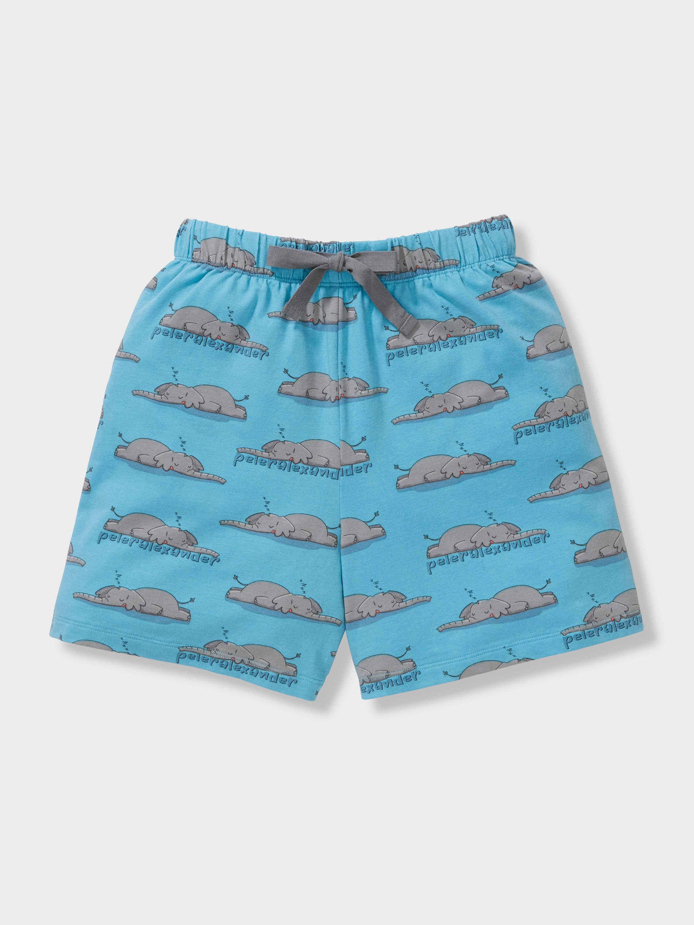 Boys Sleeping Elephant Short Pj Set
