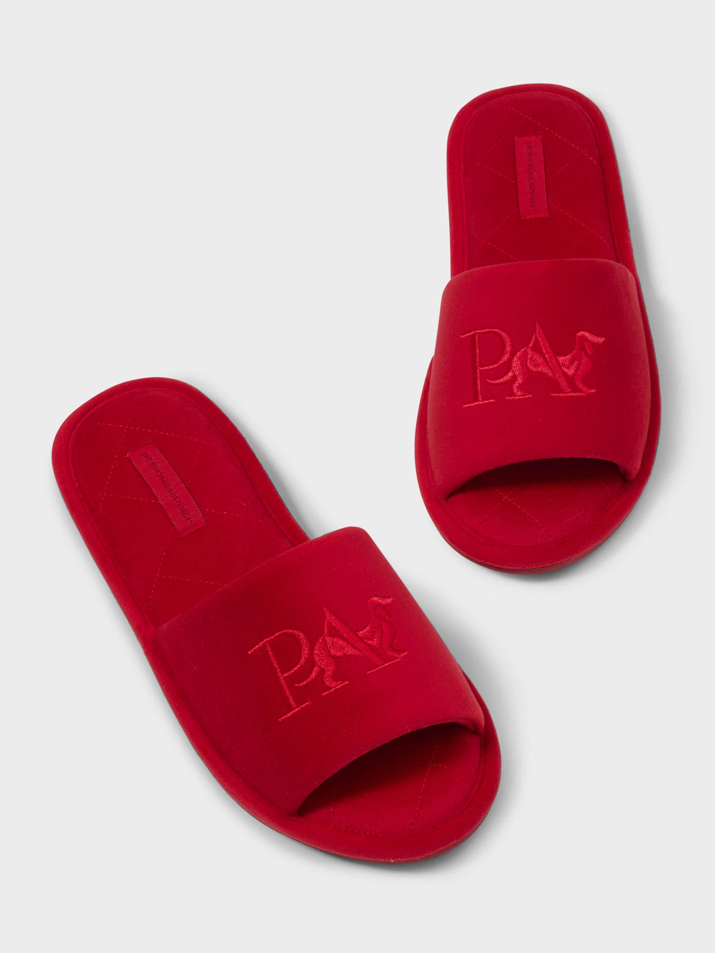 Red Plush Slide