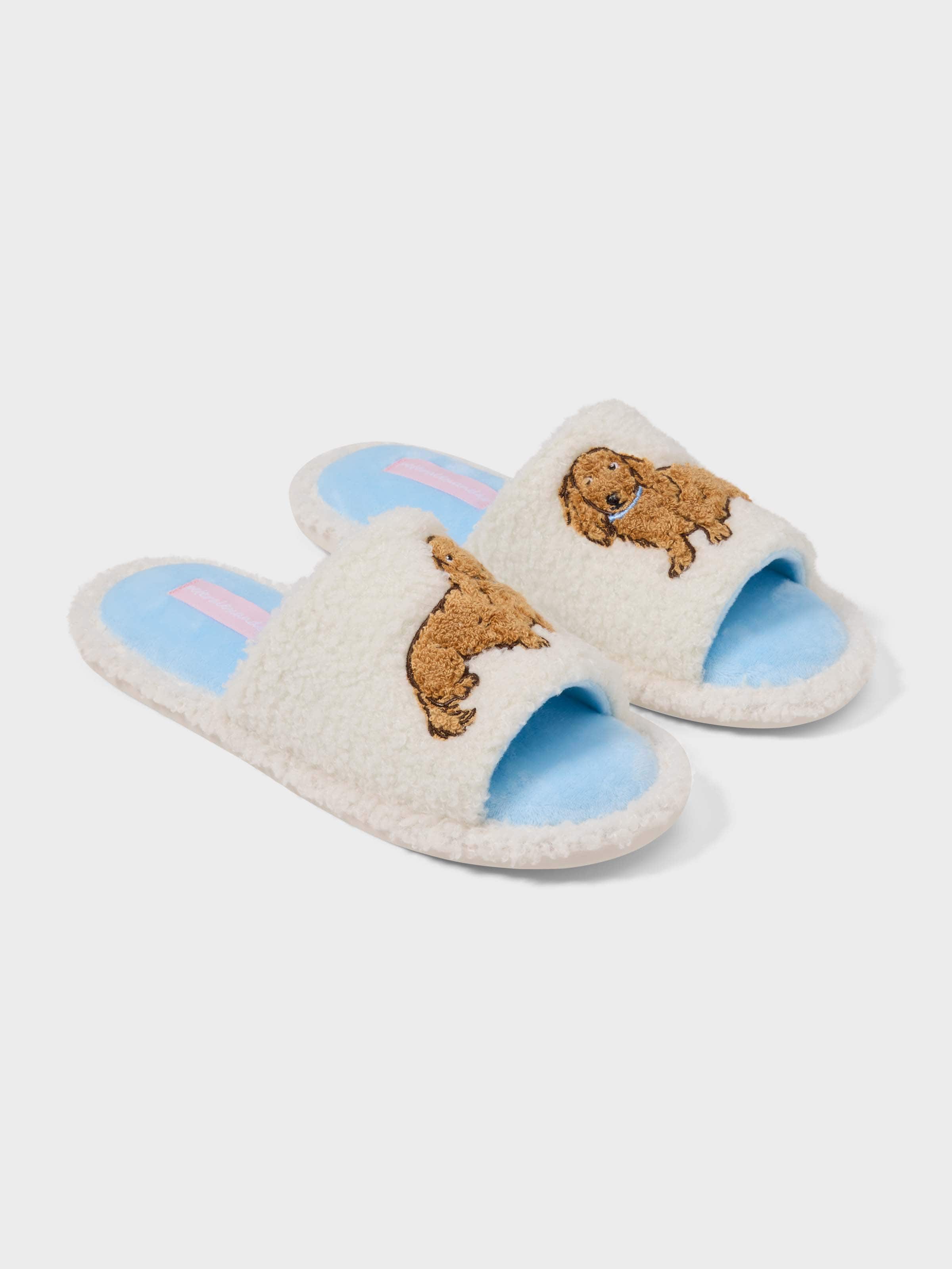 Painted Penny Slide