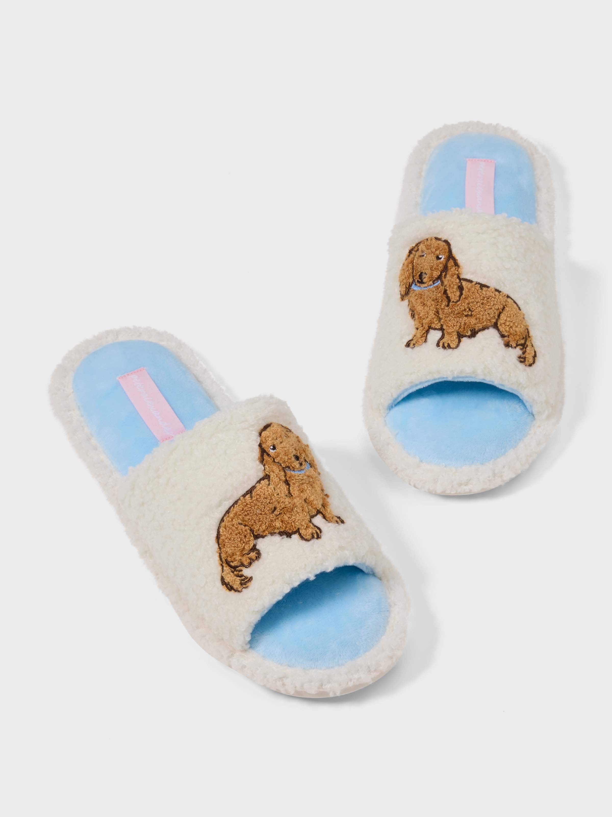 Painted Penny Slide
