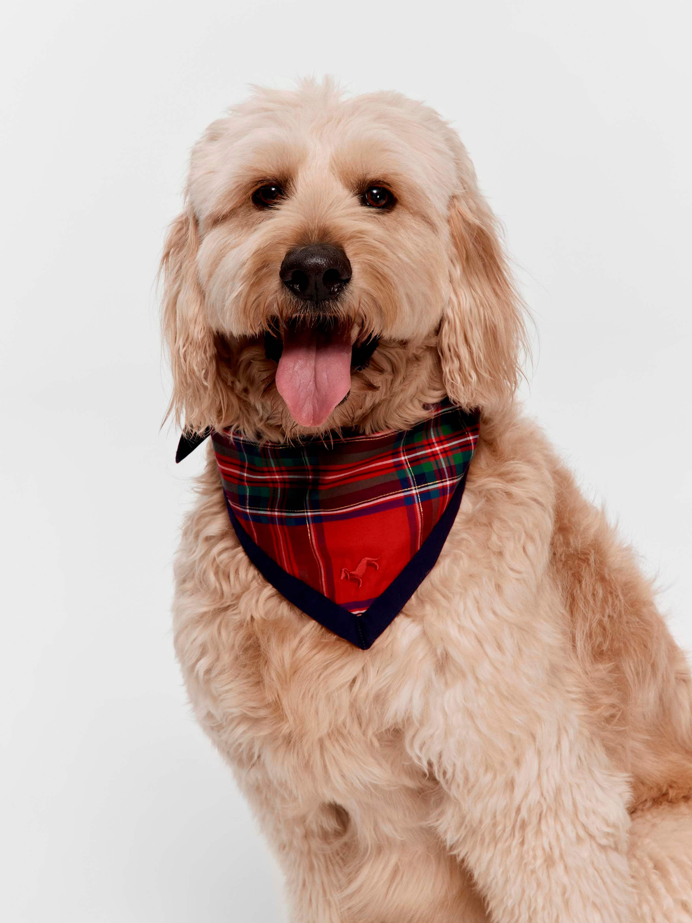 Tartan Pet Bandana