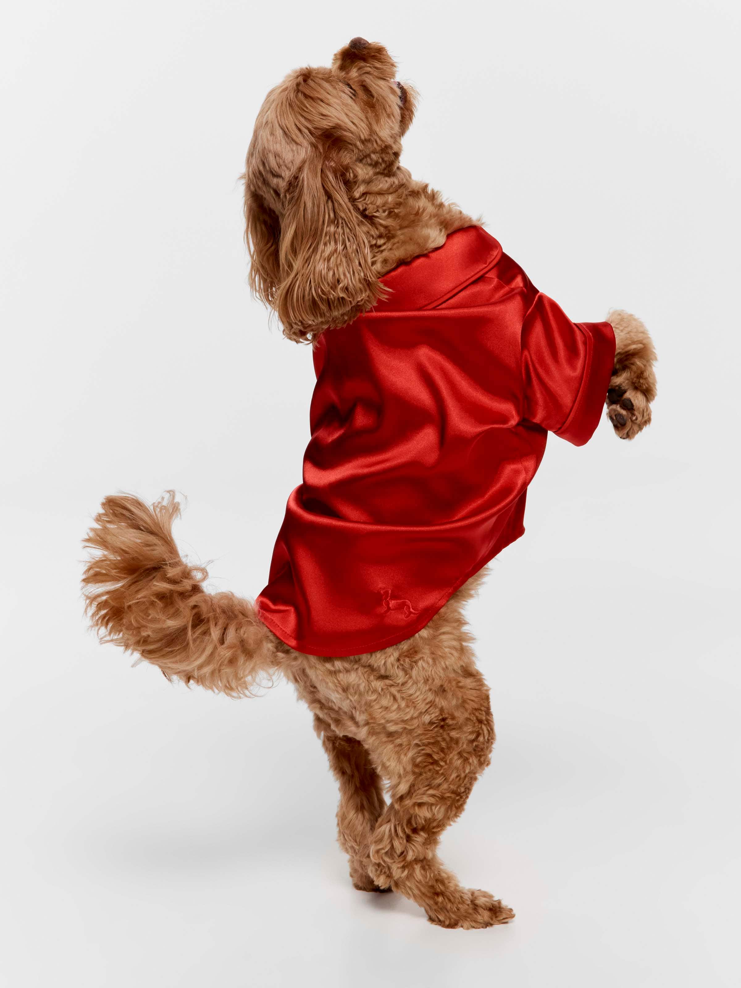 Red Chic Satin Boxed Dog Tee