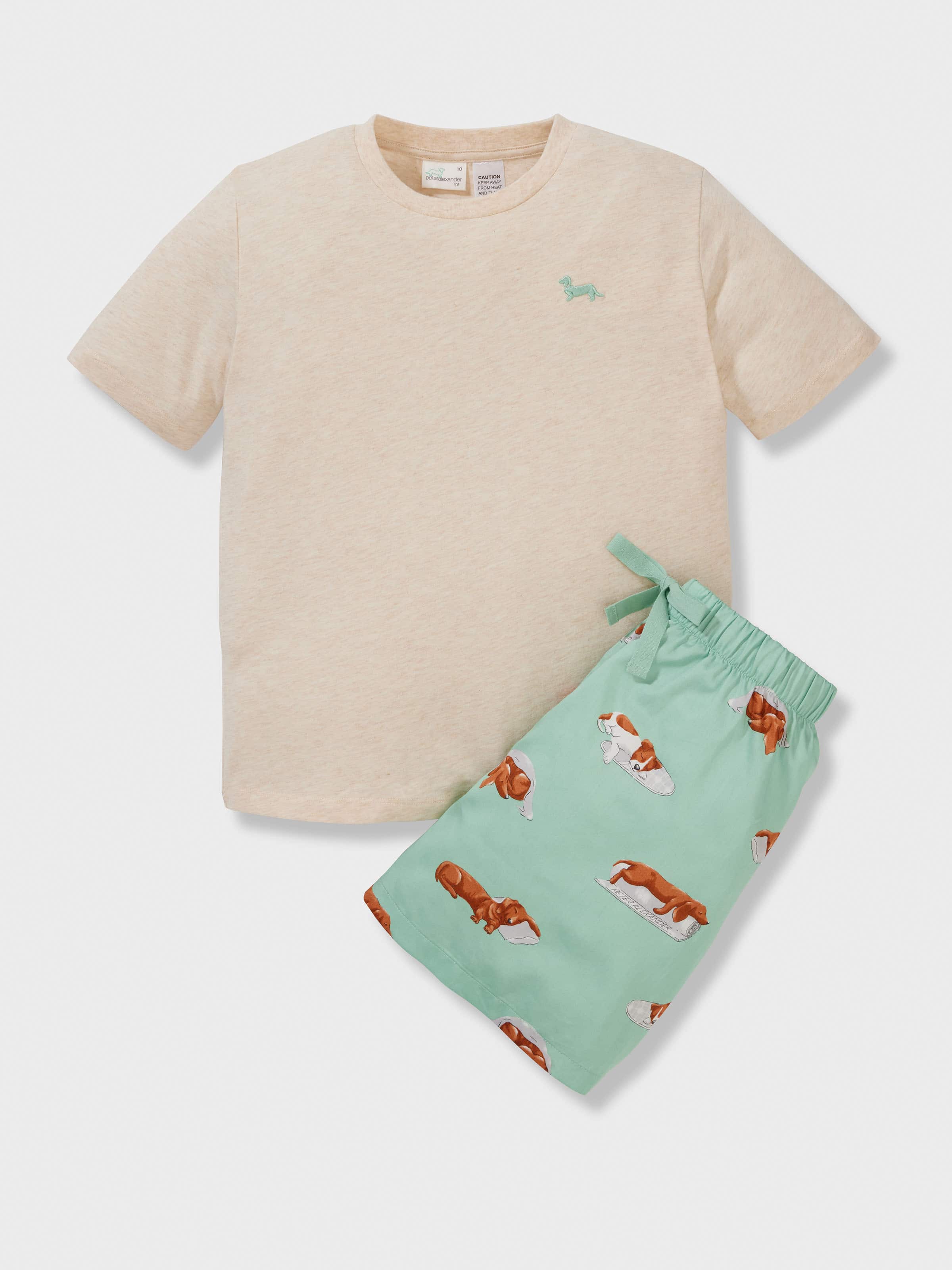 Boys Sleeping Penny Short Pj Set