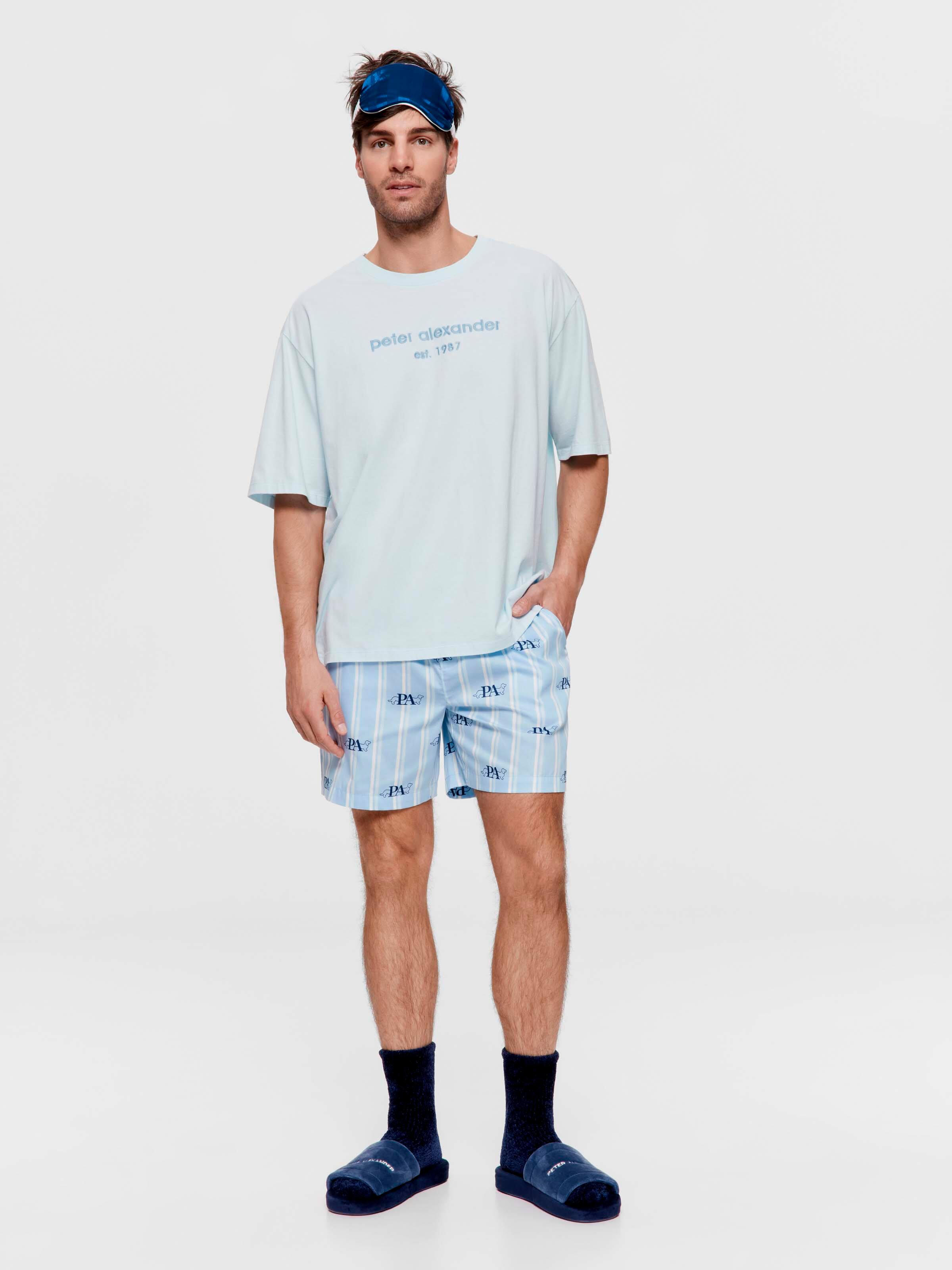 Oversized P.A. Glacier 100% Cotton Tee