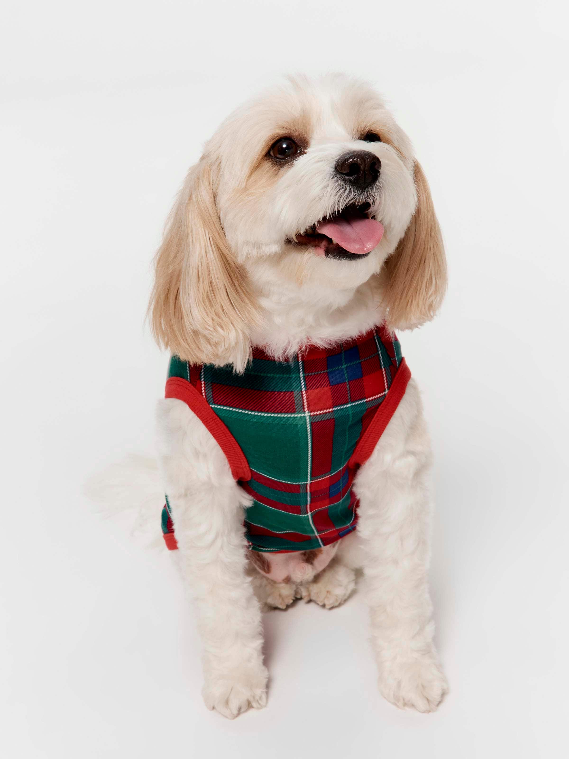 Tartan Boxed Dog Tee