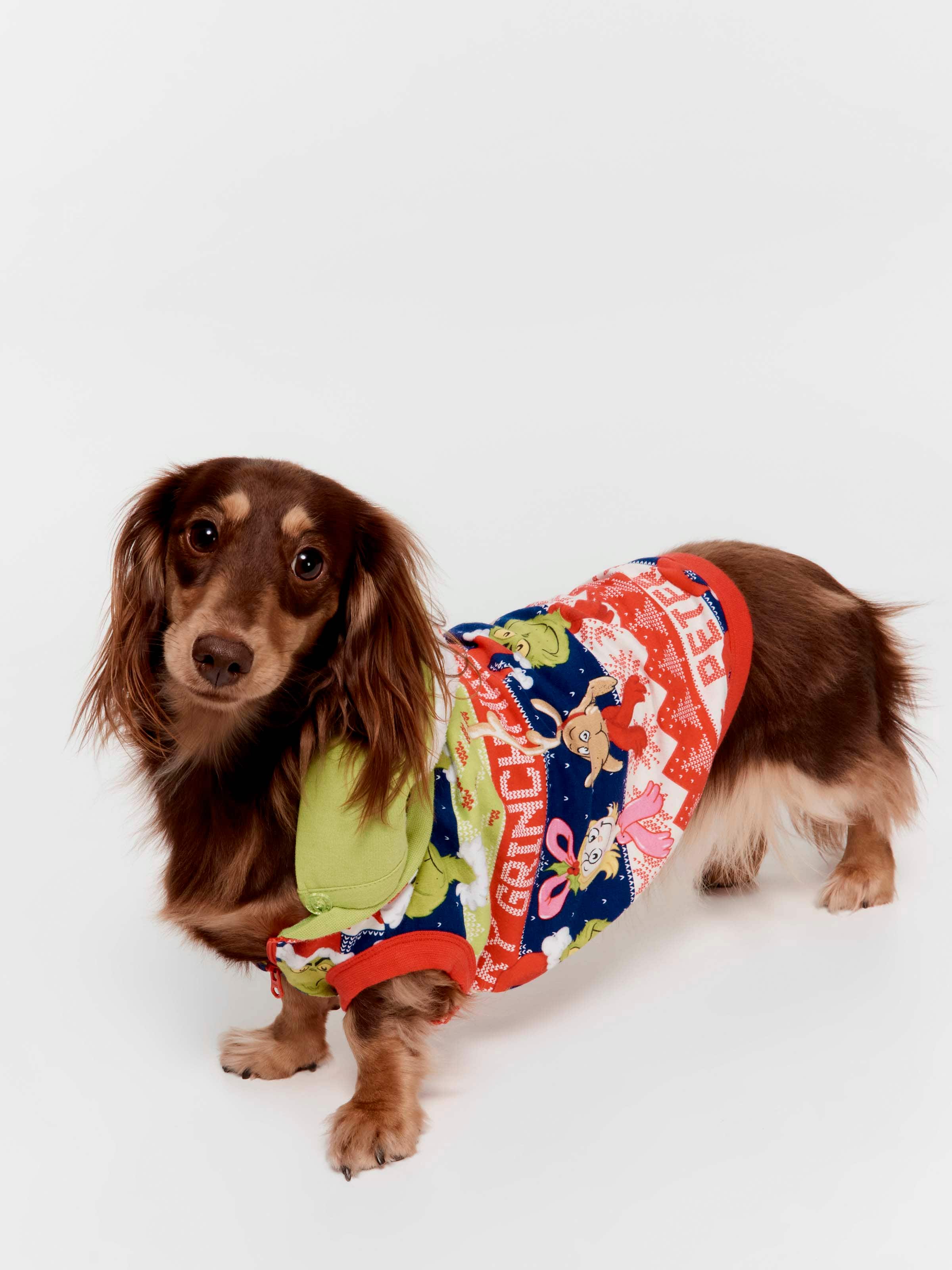 The Grinch Boxed Dog Hoodie