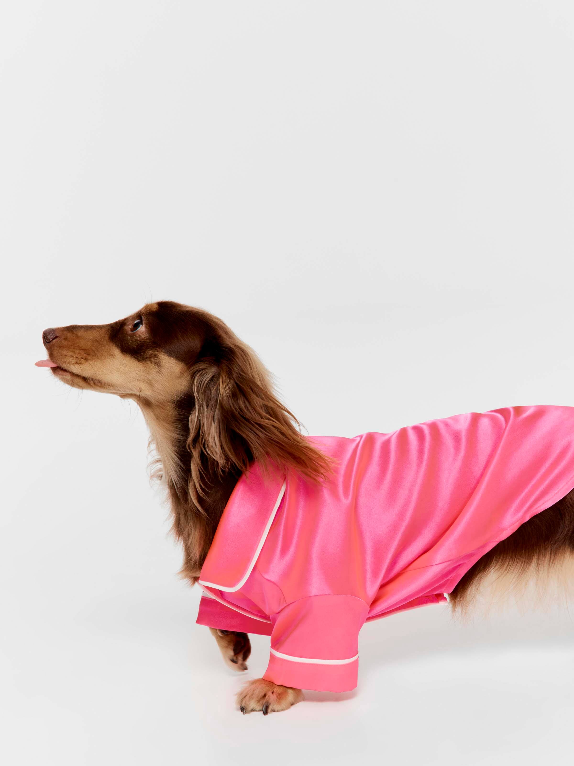 Fluro Pink Satin Dog Shirt