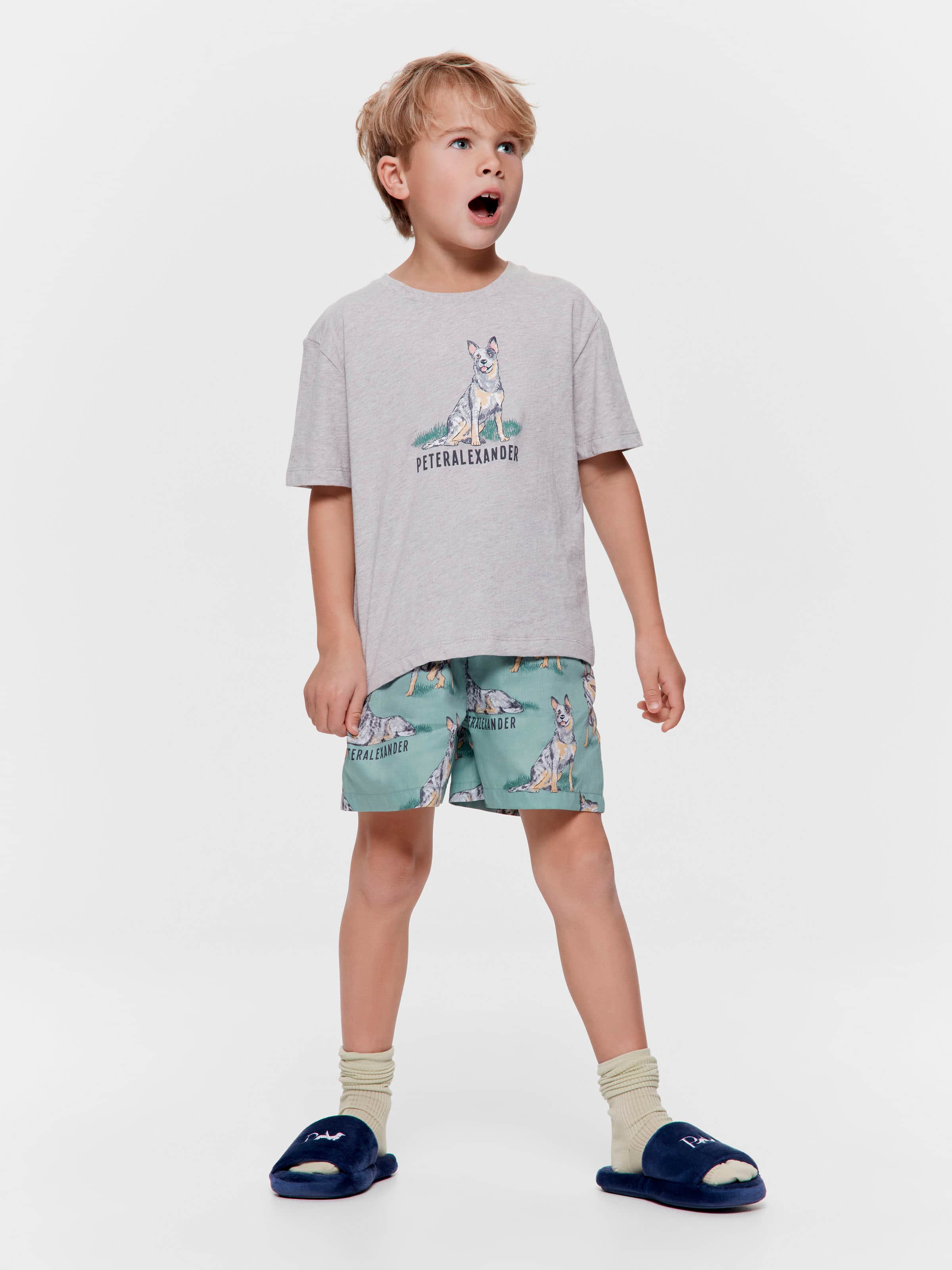 Jnr Boys Blue Heeler 100% Cotton Short Pj Set