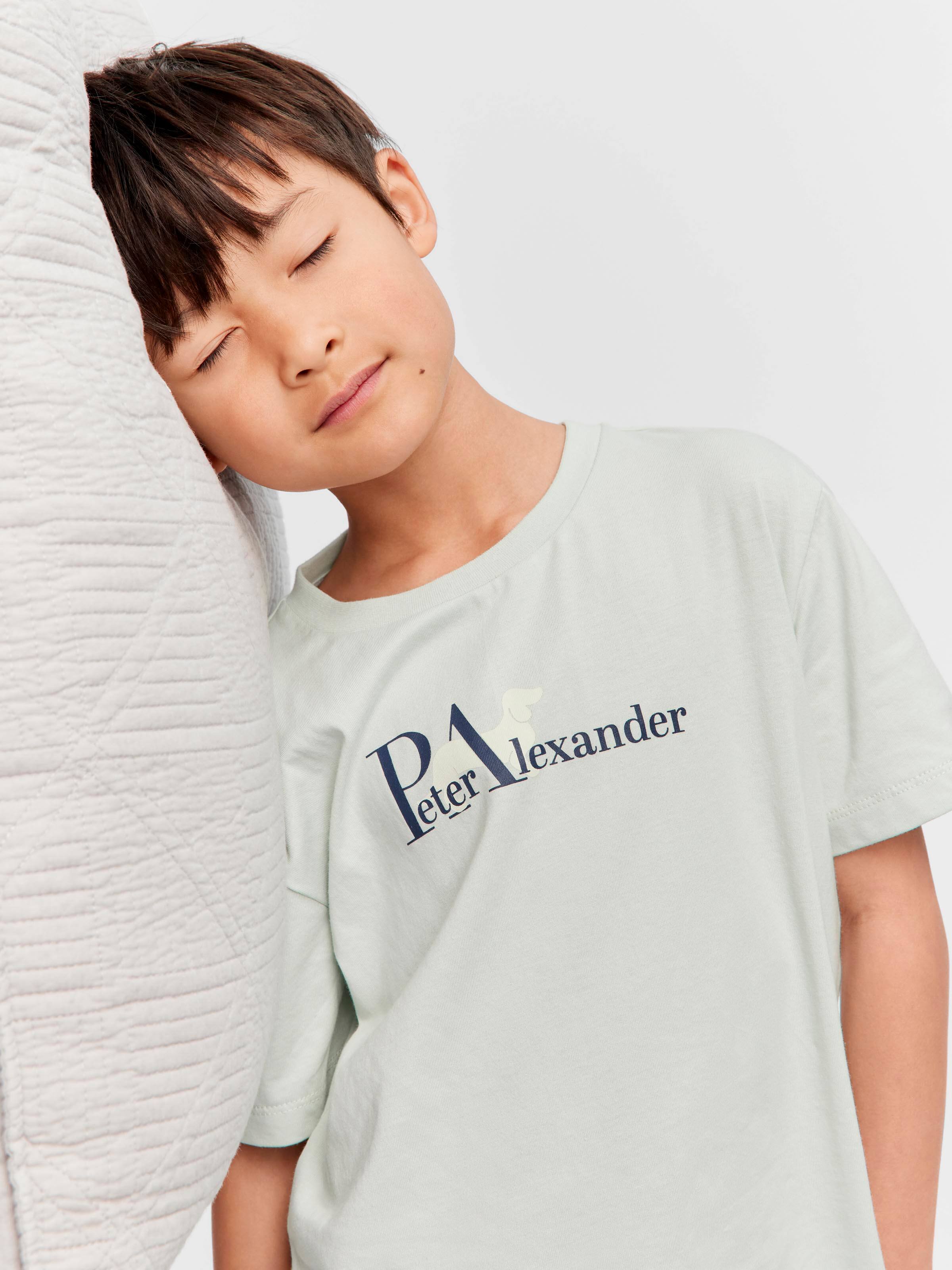 Jnr Boys Windowpane Penny Check 100% Cotton Short Pj Set