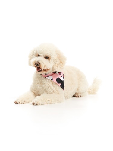 Mickey Mouse Dog Neckerchief